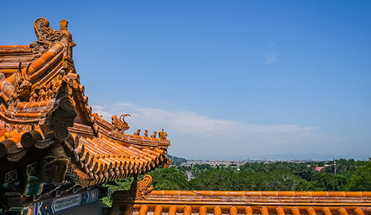 d8128a6c0584b650310f61c894e66fa3.png